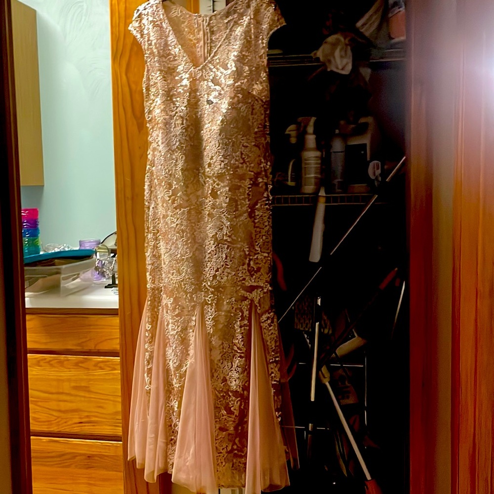 Mother of the bride gown